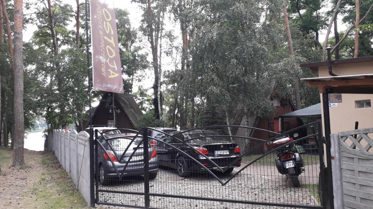 Ostoja Slesin Villa Eksteriør billede